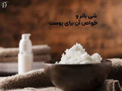شی باتر چیست و چه کاربردی دارد؟