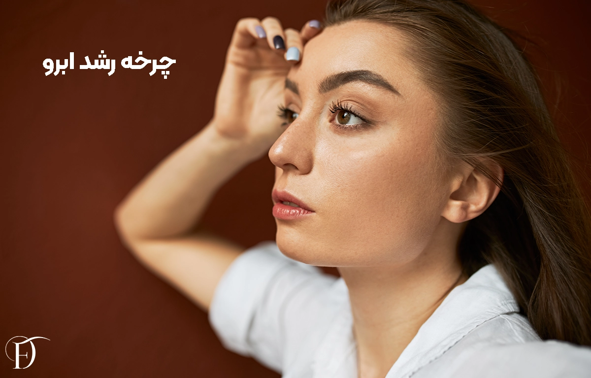رشد ابرو