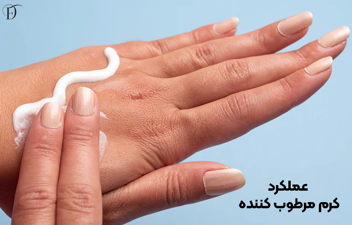 عملکرد کرم مرطوب کننده