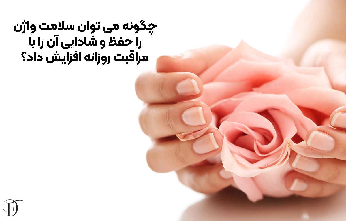 چگونه می ‌توان سلامت واژن را حفظ و شادابی آن را با مراقبت روزانه افزایش داد؟