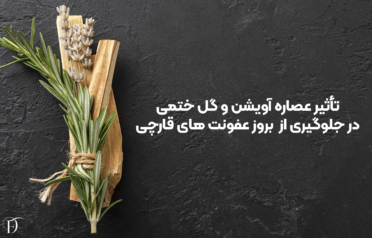 تأثیر عصاره آویشن و گل ختمی در جلوگیری از بروز عفونت‌ های قارچی
