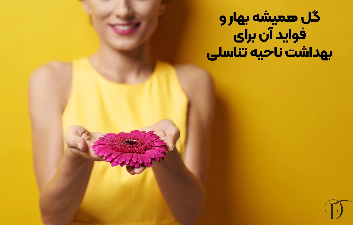 گل همیشه بهار و فواید آن برای بهداشت ناحیه تناسلی