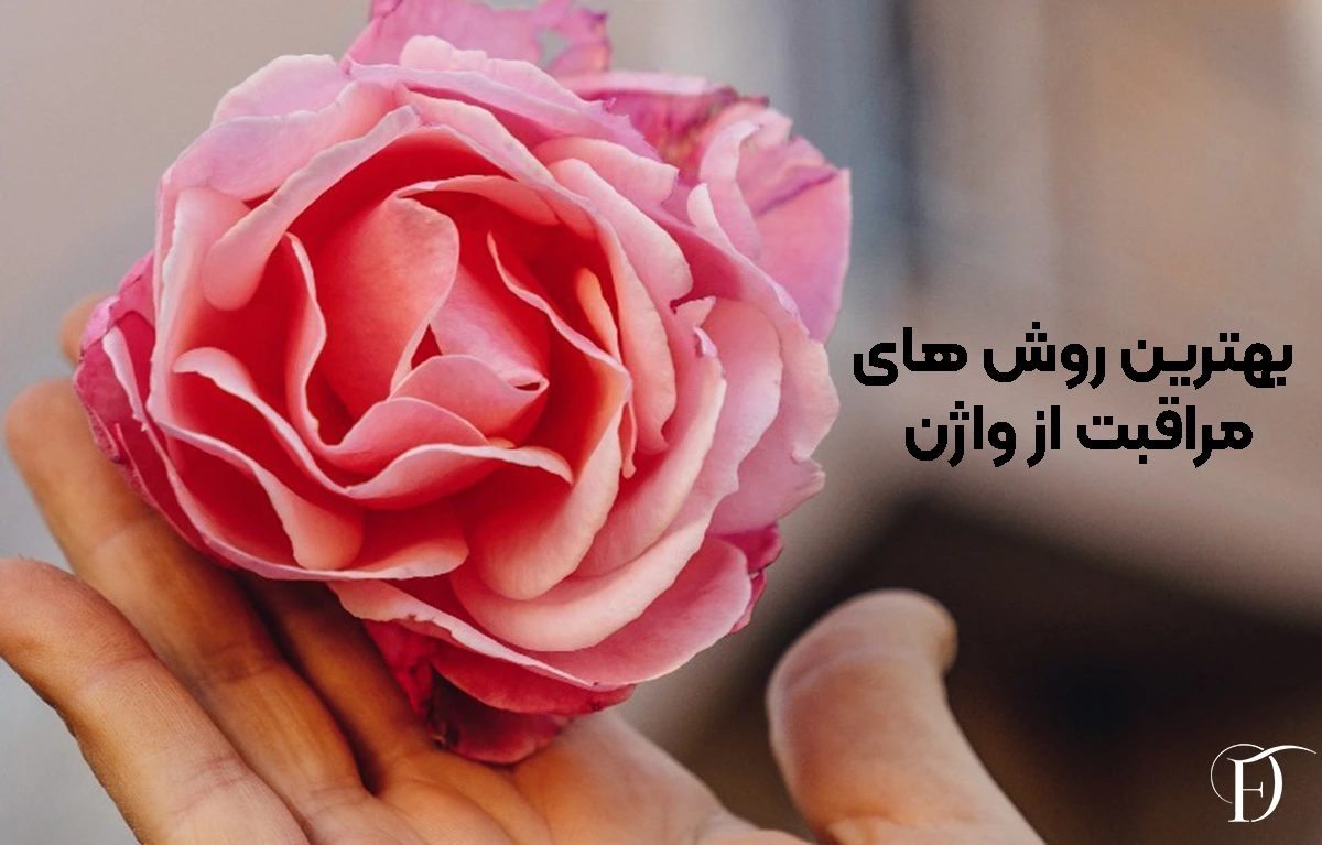 بهترین روش‌ های مراقبت از واژن