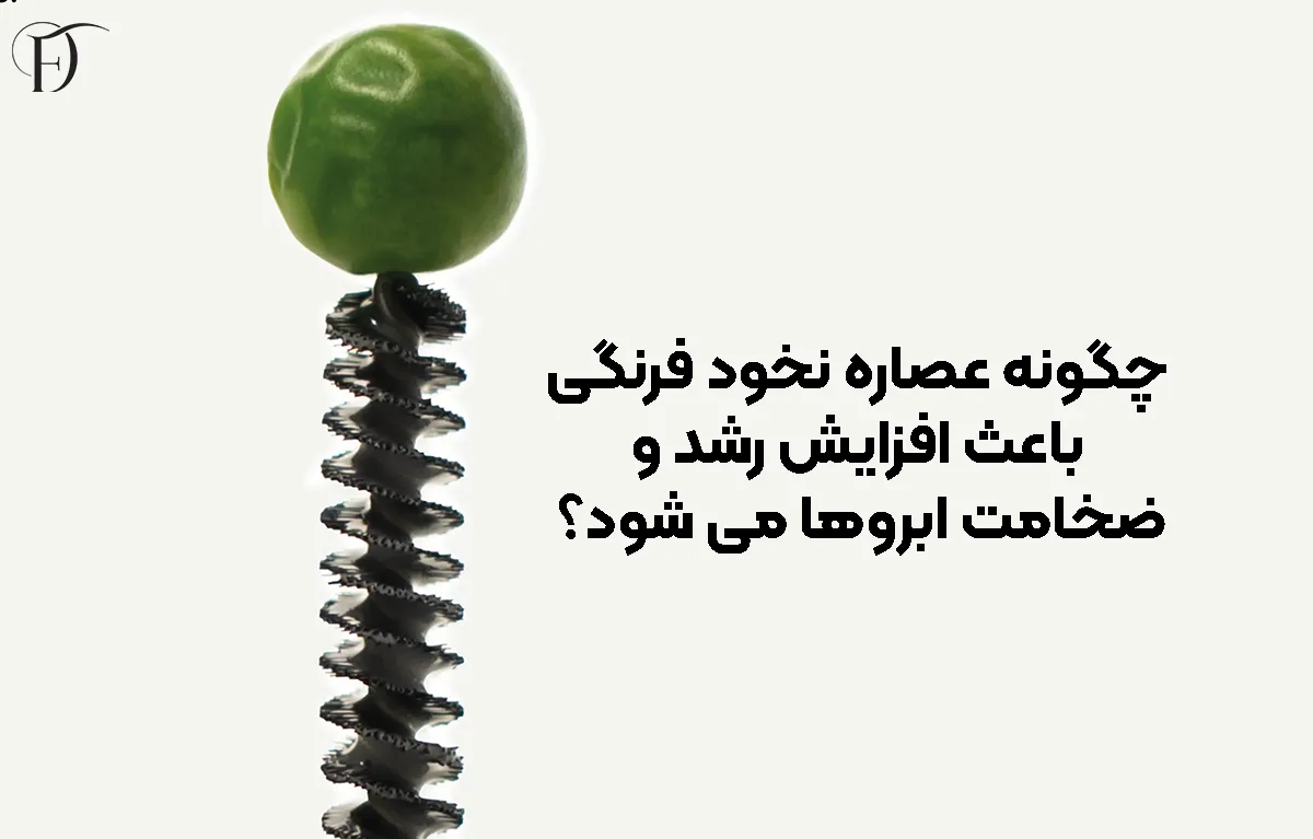 چگونه عصاره نخود فرنگی باعث افزایش رشد و ضخامت ابروها می ‌شود؟