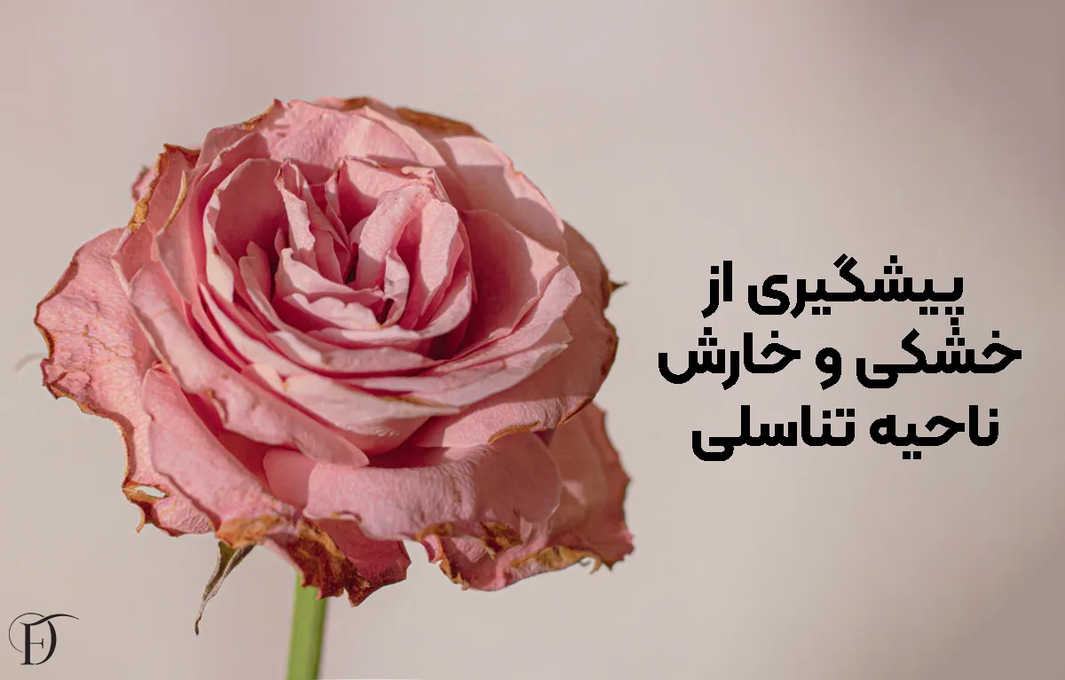راه های پیشگیری از خشکی و خارش ناحیه تناسلی