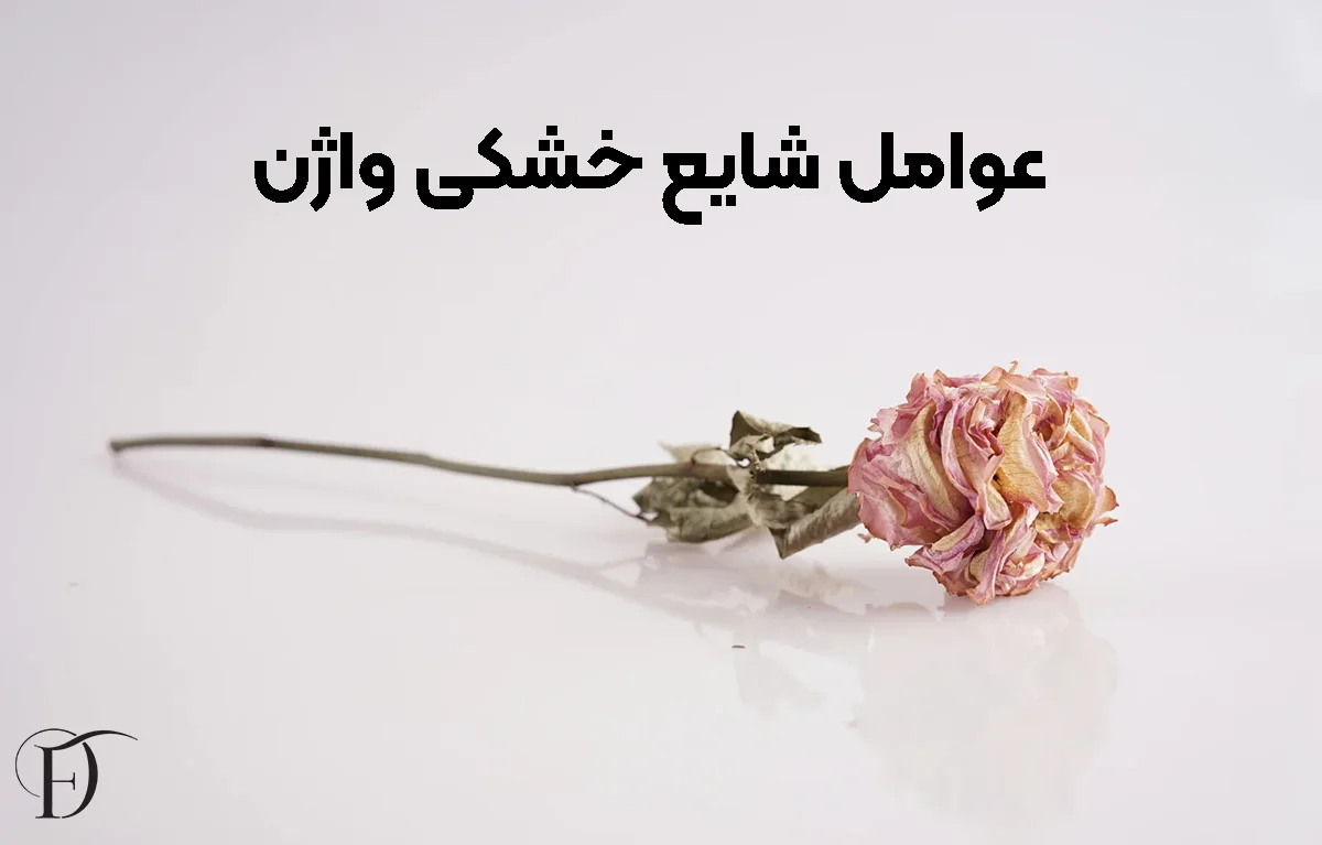 عوامل خشکی واژن