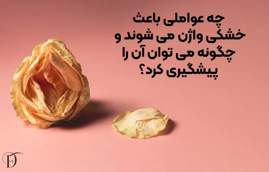 چه عواملی باعث خشکی واژن می‌ شوند و چگونه می‌ توان آن را پیشگیری کرد؟