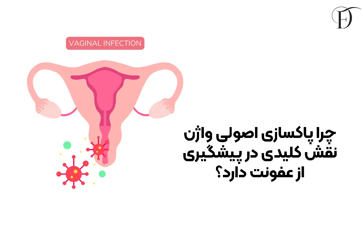 چرا پاکسازی اصولی واژن نقش کلیدی در پیشگیری از عفونت دارد؟