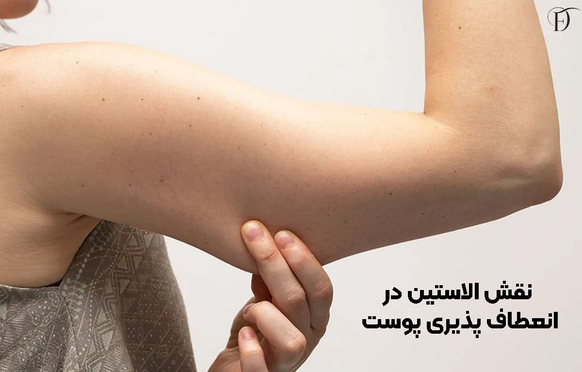 نقش الاستین در انعطاف پذیری پوست