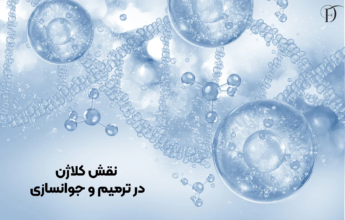 نقش کلاژن در ترمیم و جوانسازی